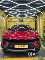 Car polishing staff