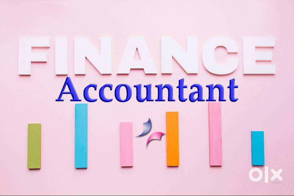 Accountant / Accounts Manager