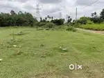 5 plots available each plot 2000 SQFT