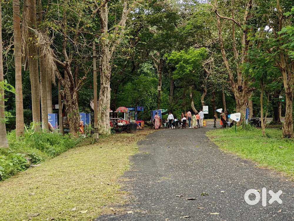 Ice cream seller inside tata zoo