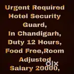 Chandigarh 5 Star Hotel Security Guard Job 18