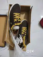 US Polo Association Shoes