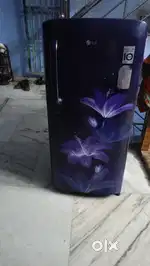 LG Smart inverter Fridge