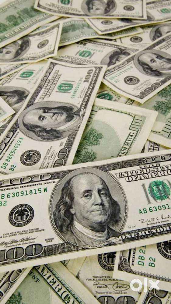 Usa auto insurance sales