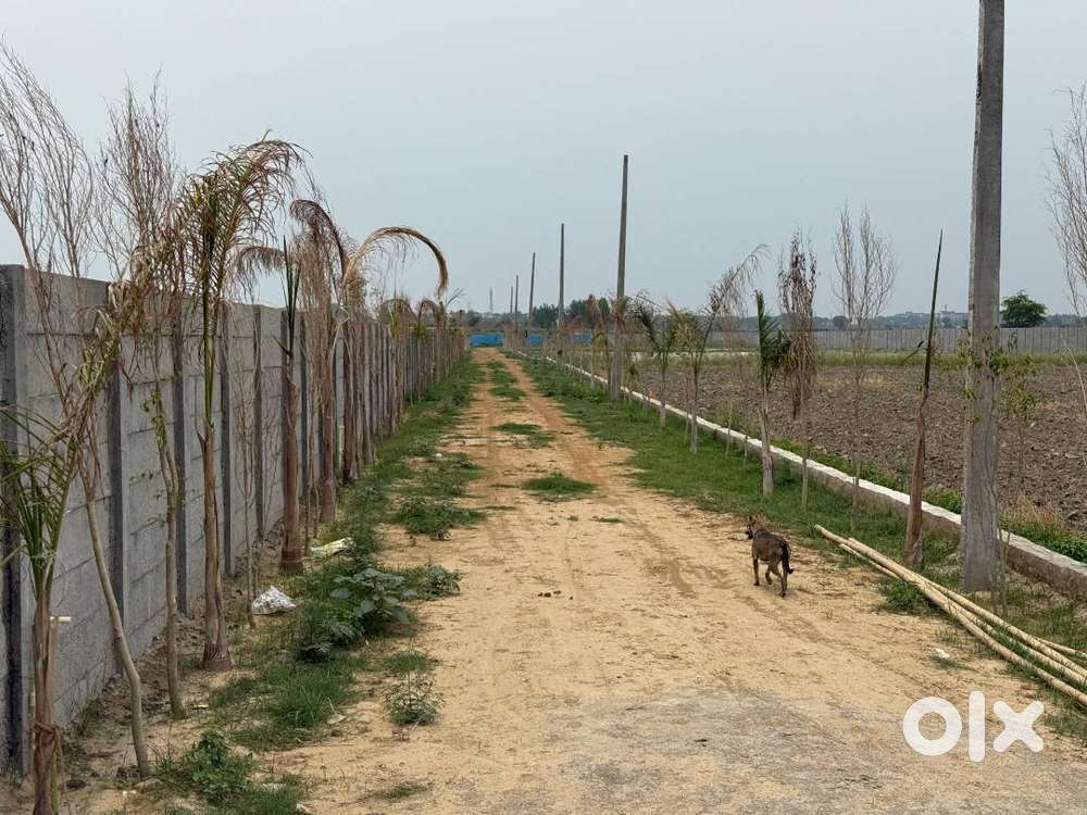 FARIDABAD KA SABSAE ACHA PLOTS