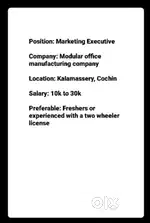 Marketing Executive