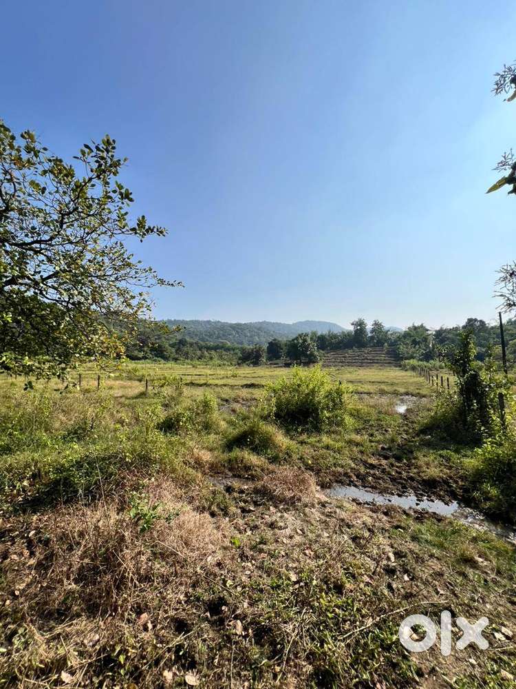 Stunning Dual-Mountain-View Property