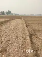 Plot sell urgently