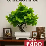 Artificial plants NEW