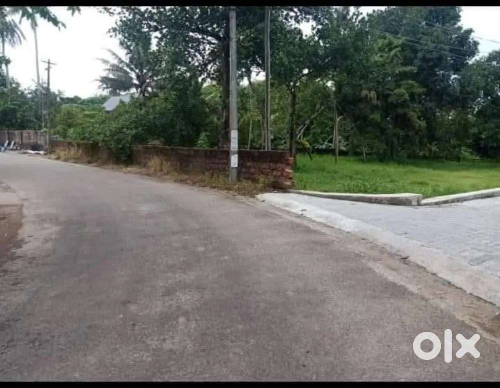 14 cent Commercial land Near Cochin Airport
