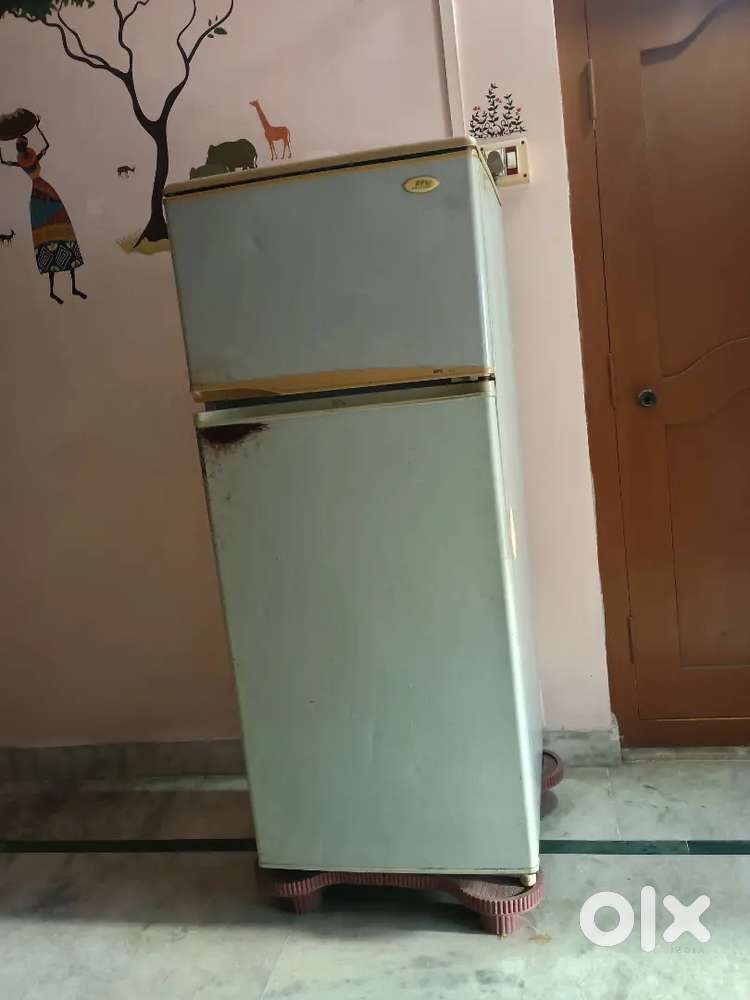 Double door fridge and Crompton cooler