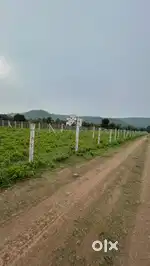 River touch farmland near khandwa road