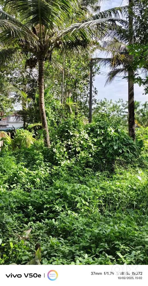 N H il ninnu 300 meter dstnce,neerkunnam. Two wheeler access
