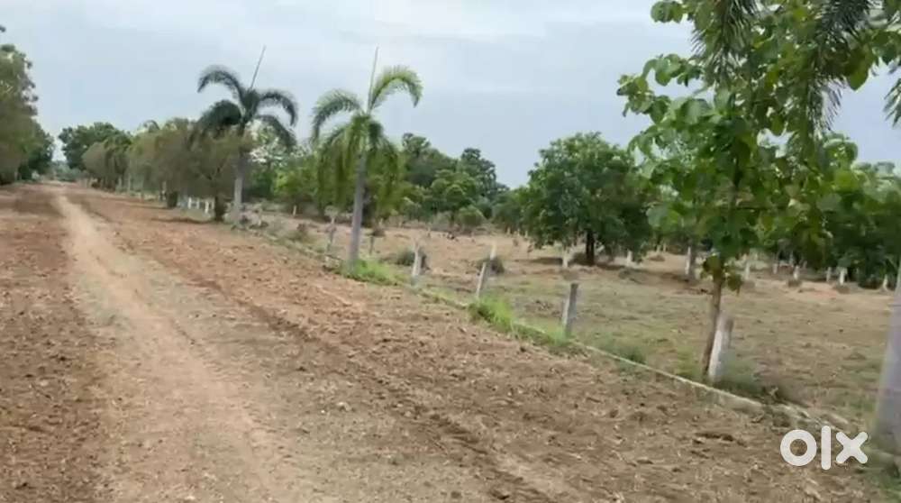 Land Conversation Layout Farm land Project at Lkota mandal Rs.5499