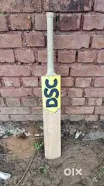 DSC CRICKET BAT