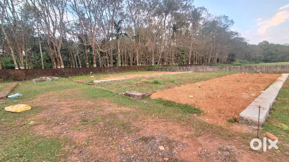 3,6 Cent Plot for Sale Kakkanad Manakkakadavu,Near infopark