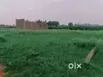 Kisi ko apni zameen sale karni ho to contact kro