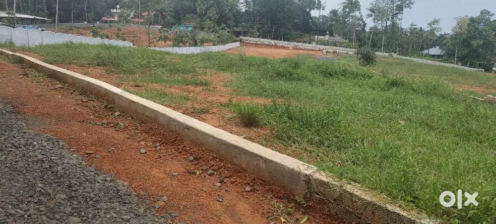 ഏറ്റുമാനൂർ പാലാ റോഡിൽ നിന്നും 500 mtr ദൂരത്തിൽ 8 സെന്റ് സ്ഥലം
