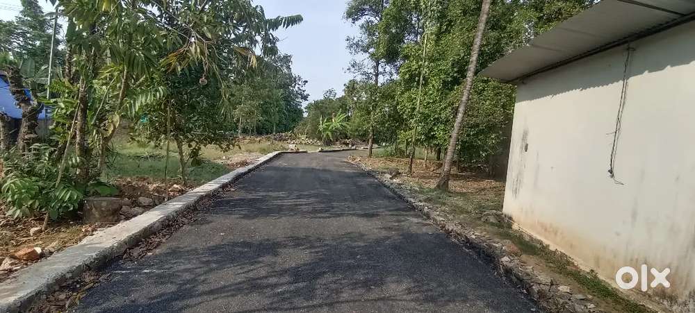 ANGAMALY TOWN 1KM 5,6,8, 10 CENT PLOTS AVAILABLE