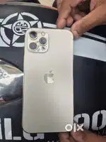 12 pro maxx
