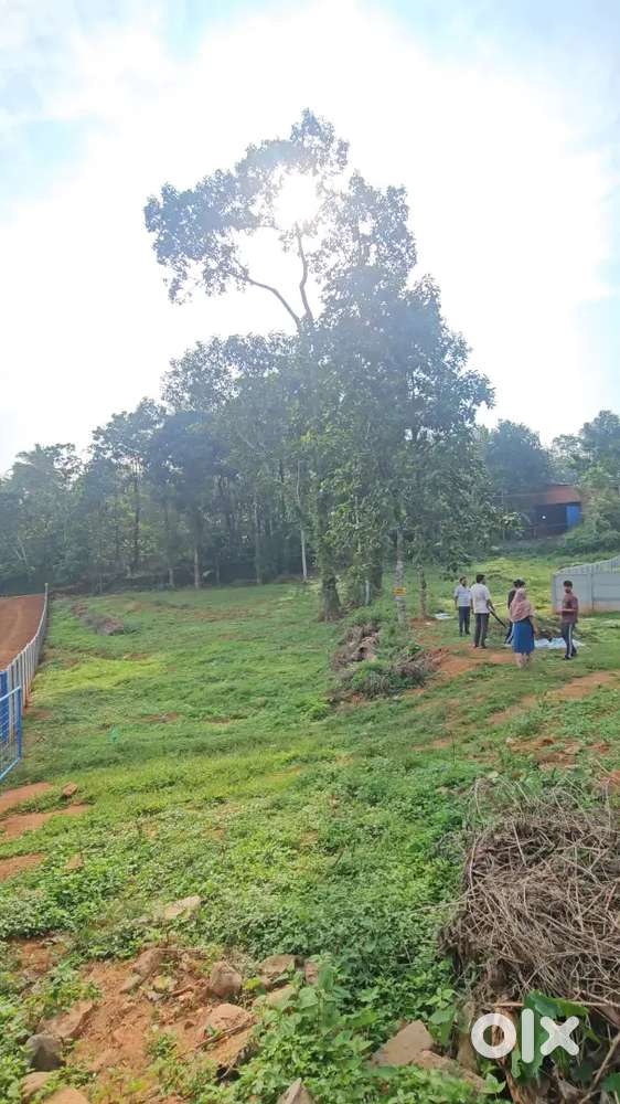 Vacant plot suitable for Godown/Workshop