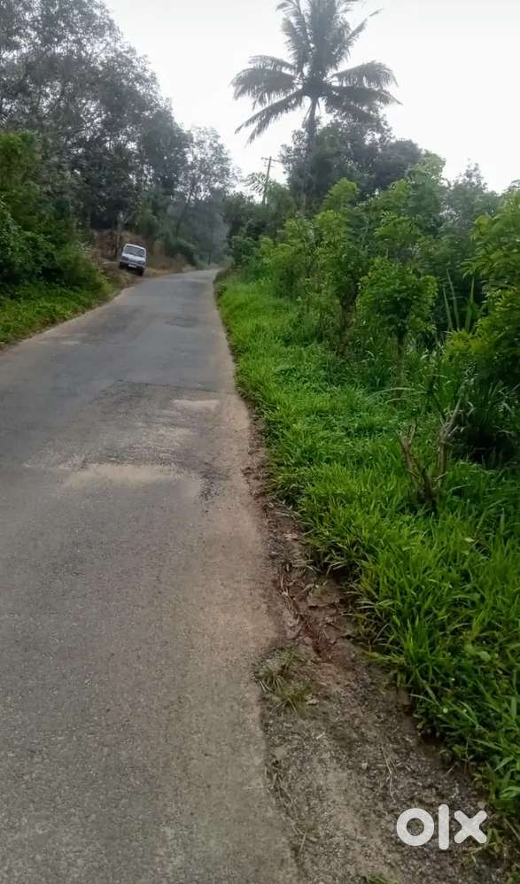 Idukki Panikkankudy Near 250 cent LA Pattayam Farm Land with old House