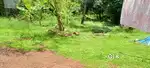 8 സെന്റ് അമ്മൻനട ക്ഷേത്രത്തിനു പുറകുവശം ബസ്റൂട്ടിൽ നിന്നും 200 മീറ്റർ