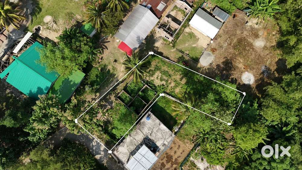 1 Katha 12 Lessa Land For Sale near BP Tinali Tezpur