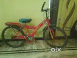 Cycle sale urjant