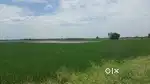 farming land