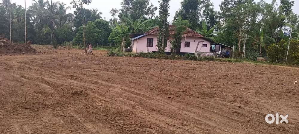 4 cent onwards, Residential plots for sale -chakaraparambu  Angamaly