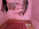 Boy Roomates needs