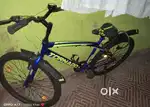 New gang cycle