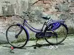 Brand new ledish bsa Cycale.only 10 month old