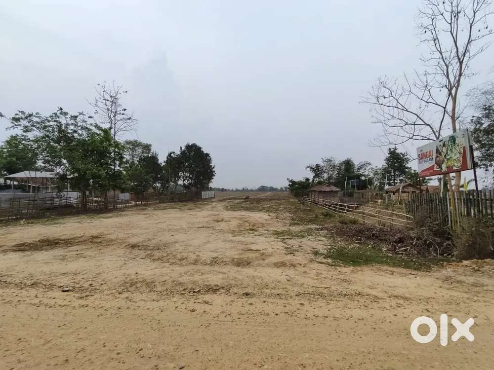 Per Katha Miadi Patta Land Available Total 4 Bigha For Sale