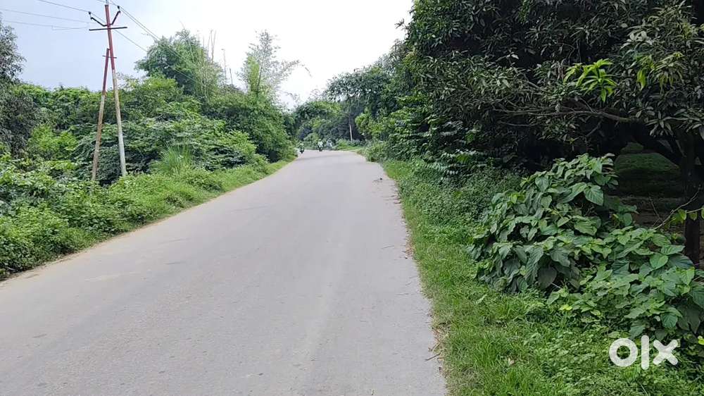 बिजनेस के लिए प्राइम लोकेशन जमीन – तुरंत उपलब्ध कमर्शियल प्लॉट
