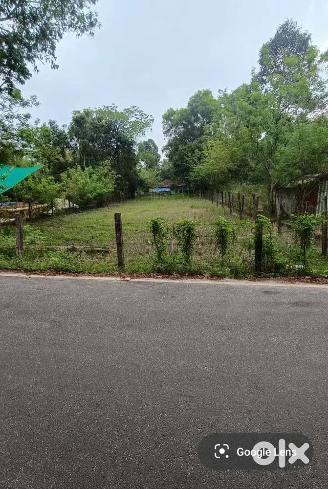 ആലപ്പുഴ ഗുരുപുരം jn കിഴക്ക് ടാർ റോഡിൽ 9.5 സെന്റ് ലാൻഡ് വില്പനക്ക്