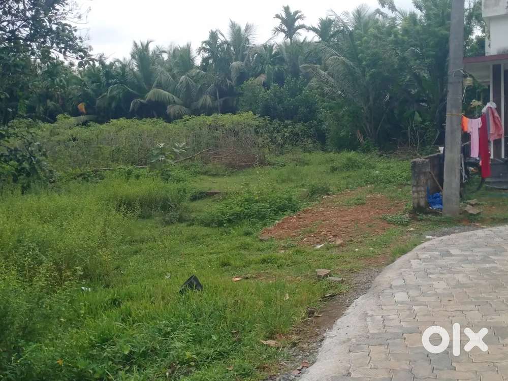 Per cent 355000 asking