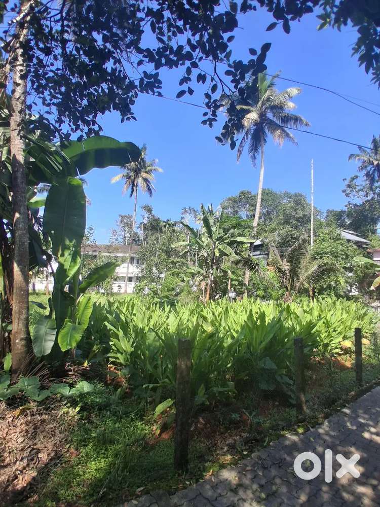 Residential Plot for Sale