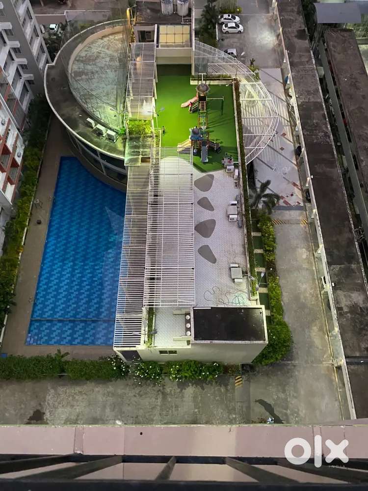 Looking for a vegetarian and homely female.