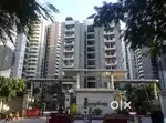 pg for boys working /students
