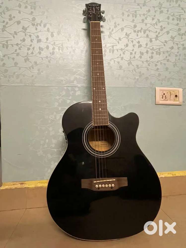 New guitar 2 months used