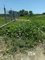 3 katha land for sale urgently