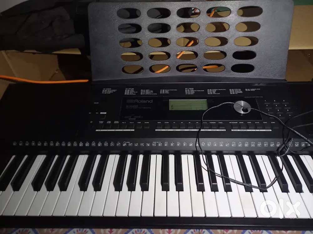 Roland Ex20