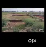Argent selling for  plot need money bhut achhi loction pr pot h