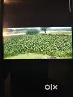 Developed Land For Sale