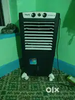 Burly cooler
