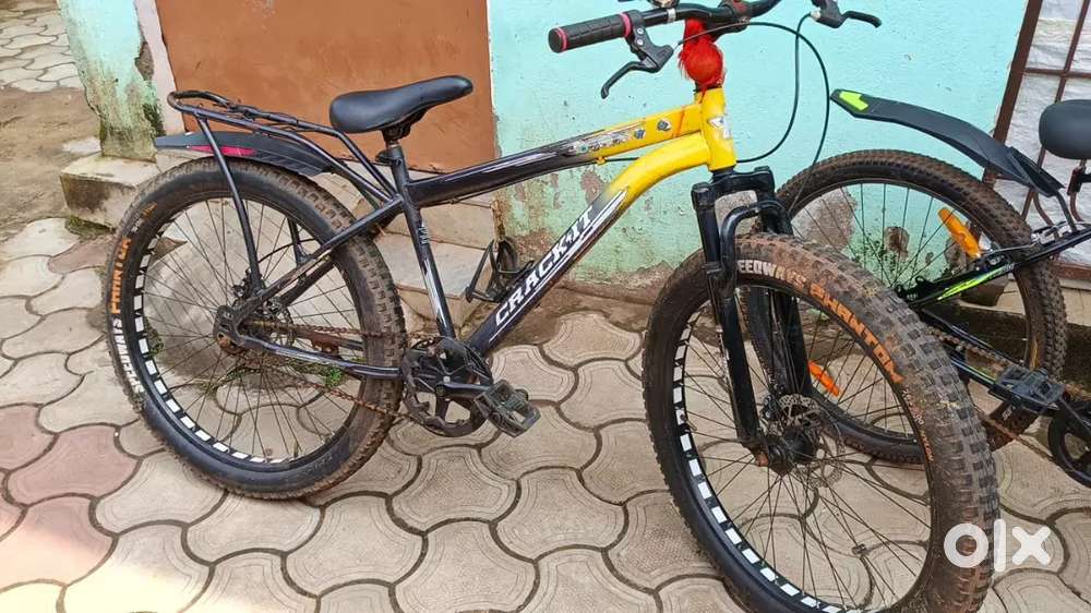 6 months old Bicycle