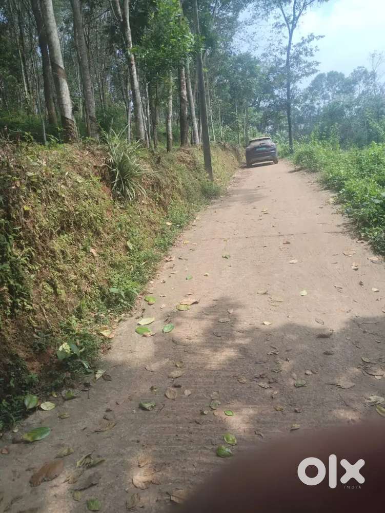 20  സെന്റ്   ലാൻഡ് ഫോർ sale