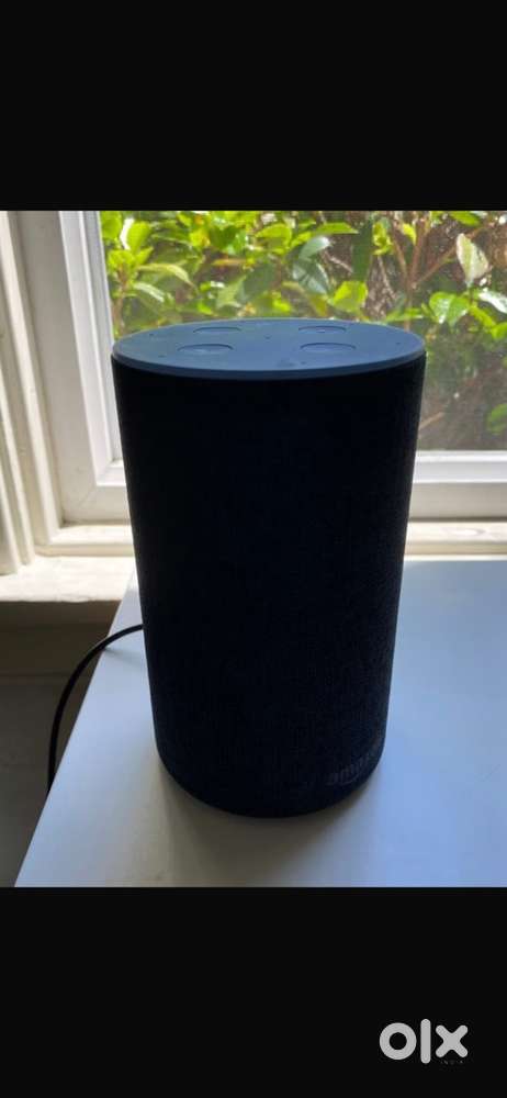 Alexa Echo